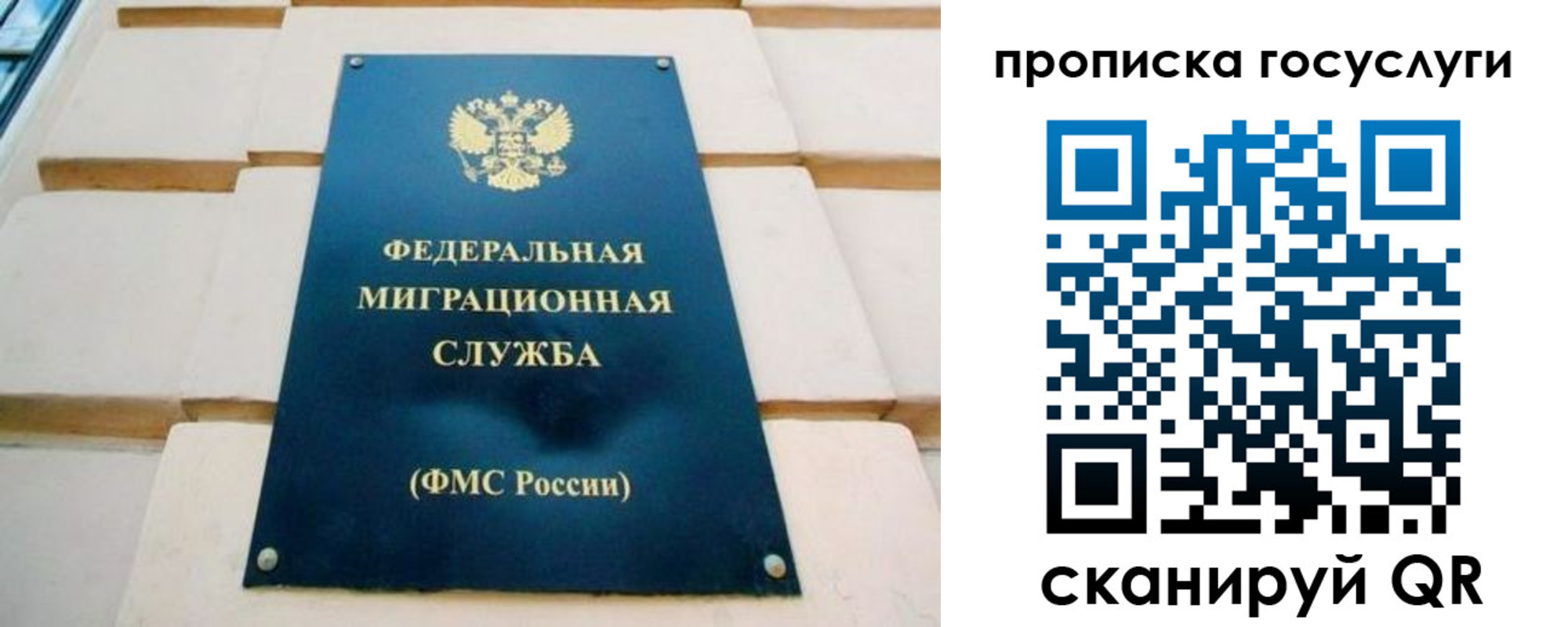 прописка поиск в Сосновом Бору